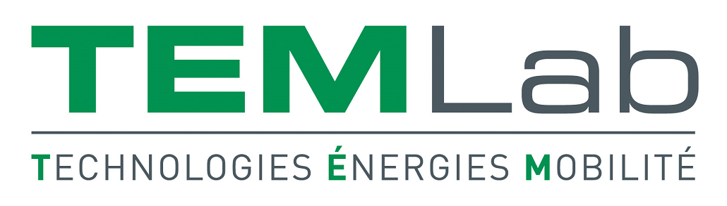 TEMLab Logo